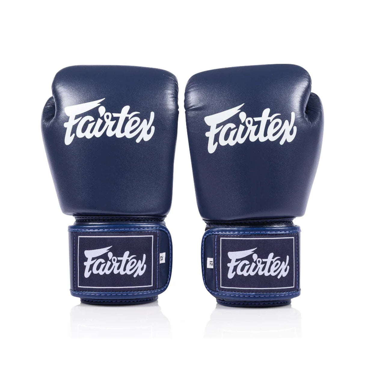 Fairtex BGV1C-PLUS Microfibre Boxing Gloves - Blue