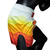 BS1932 Fairtex Spectrum Muaythai Shorts