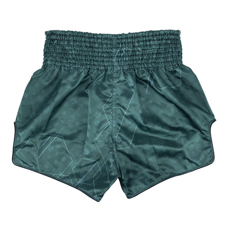BS1952 Fairtex Jungle Hunter Muaythai Shorts