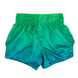 BS1953 Fairtex Quantum Muaythai Shorts