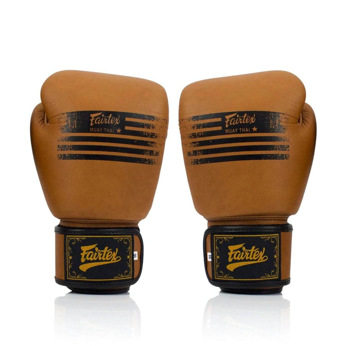 Fairtex BGV21 Legacy Boxing Gloves
