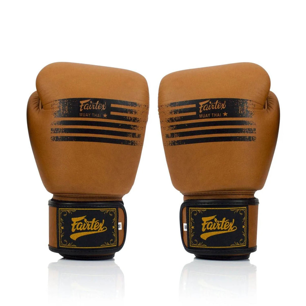 Fairtex BGV21 Legacy Boxing Gloves